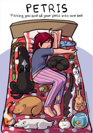Illustration for article titled Sunday pics